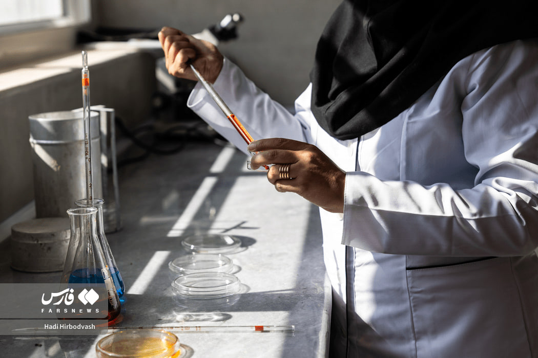 در مسیر توسعه صنایع تبدیلی