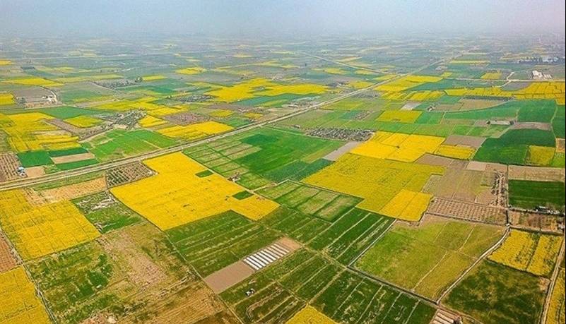 زمین‌خواری سازمان‌یافته در چالوس؛ ۳۶۰۰ میلیارد ‌زمین ملی به تاراج رفت!