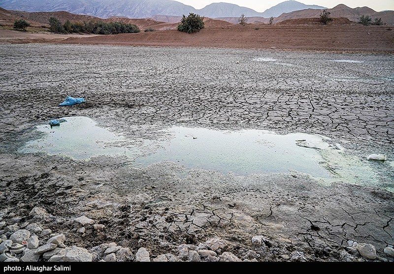 مرگ هزاران ماهی در بند عبدلآباد بجنورد