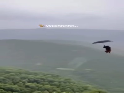  میمون چتر یک توریست را دزدید و با آن به جنگل برگشت!