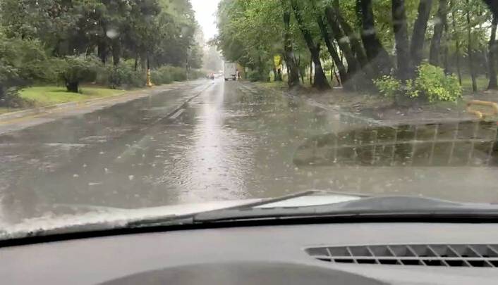 بارش باران و وزش باد در مازندران