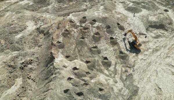 احیای ۸.۴ هکتار از عرصههای طبیعی تخریب شده در کهگیلویه و بویراحمد