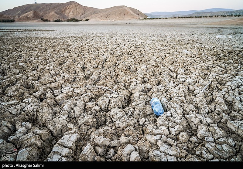 مرگ هزاران ماهی در بند عبدلآباد بجنورد