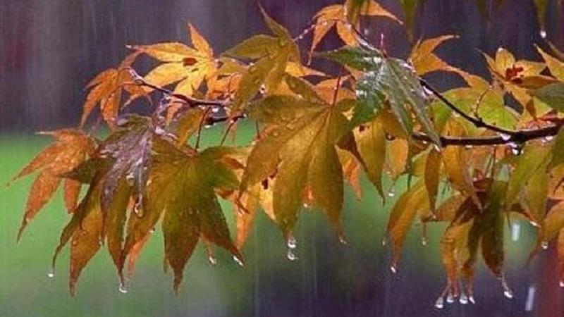 بارش ۱۰.۶ میلیمتری باران در «قصر قجر» بجنورد