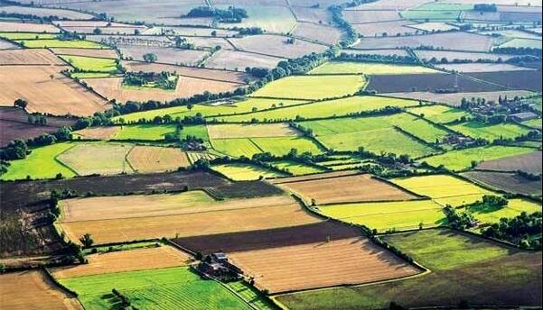 سند تکبرگ برای ۴۱۳ هزار هکتار از اراضی کشاورزی لرستان صادر شد