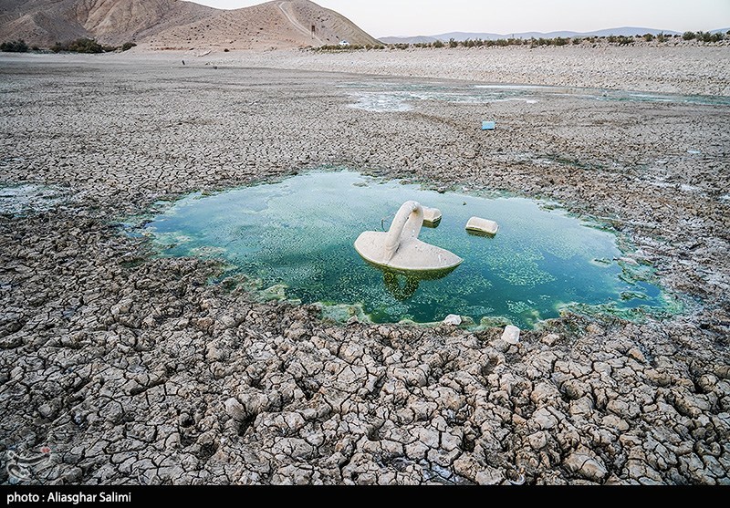 مرگ هزاران ماهی در بند عبدلآباد بجنورد