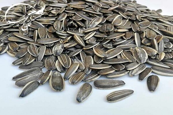 کشف نیم تُن تخمه آفتابگردان قاچاق در محورهای مواصلاتی کرمانشاه