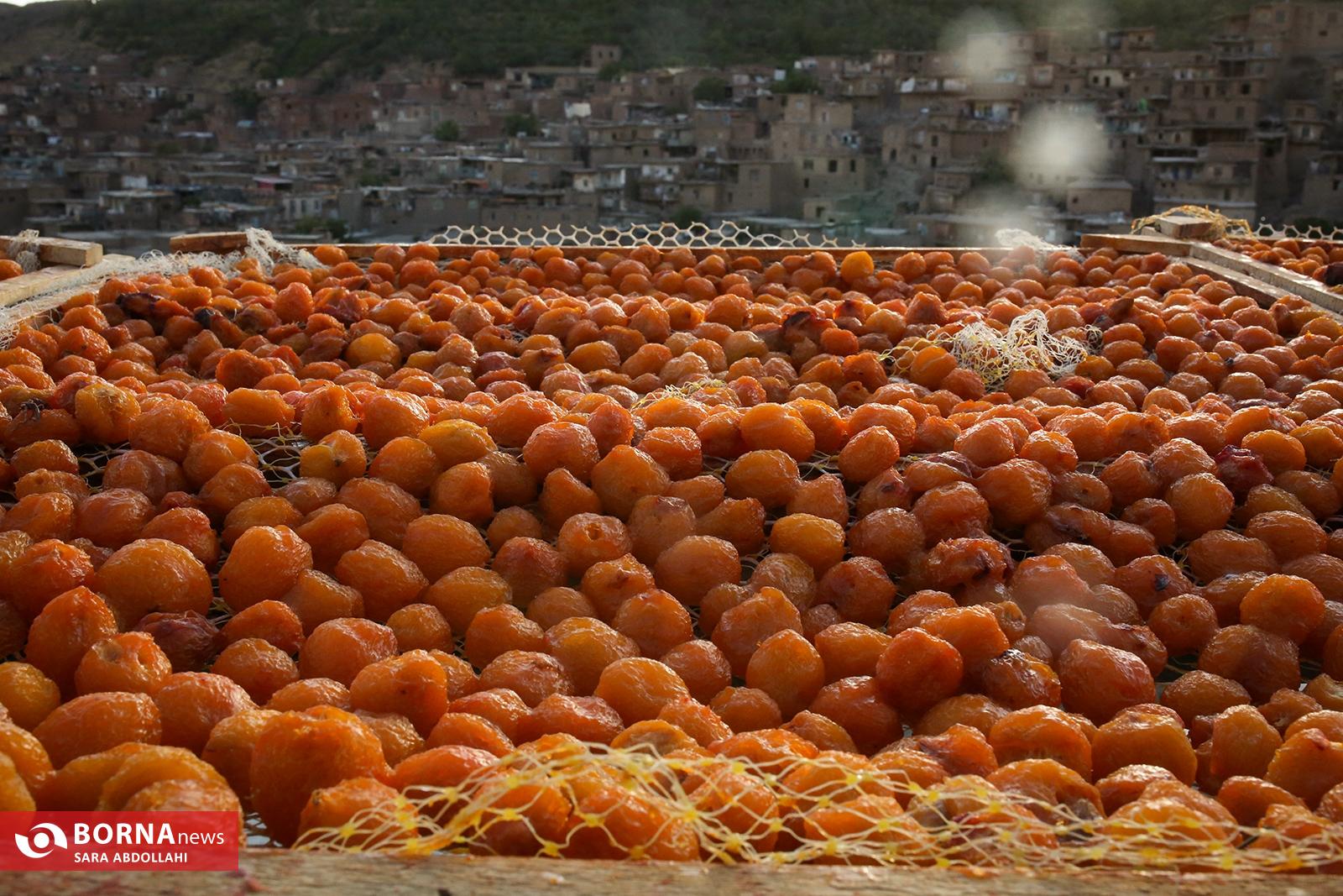 شهر خور؛ شهر بام های طلایی