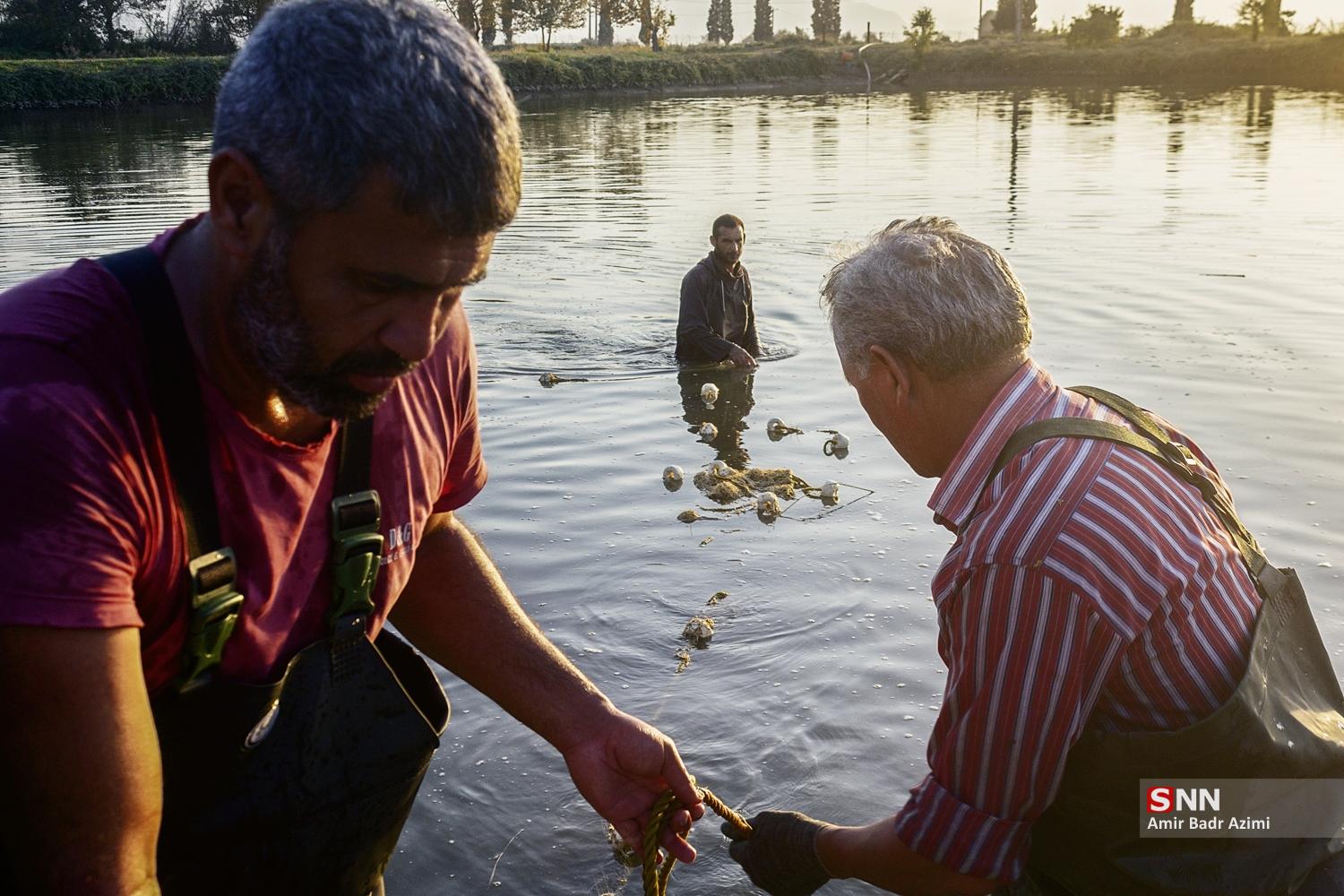 آب بندان‌های پرورش ماهی در آزادشهر