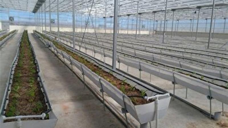 پرداخت ۲۹۴ میلیارد تومان تسهیلات تبصره ۱۸ به بهره برداران بخش کشاورزی