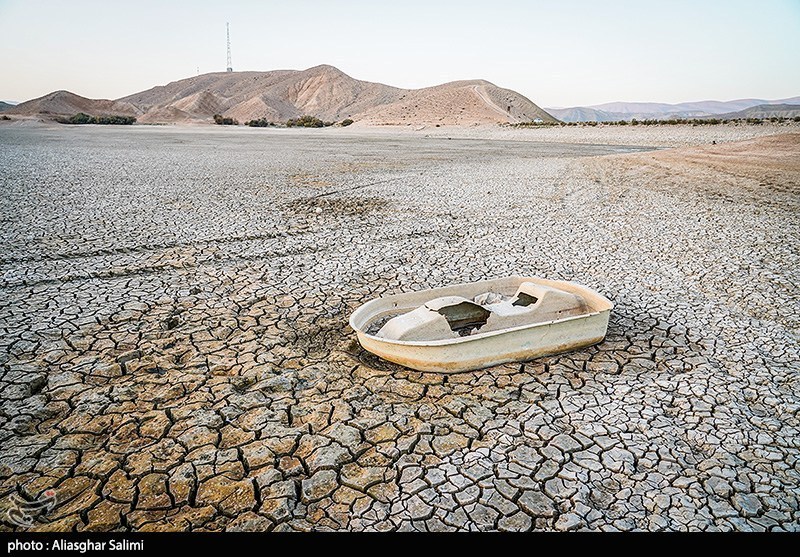 مرگ هزاران ماهی در بند عبدلآباد بجنورد