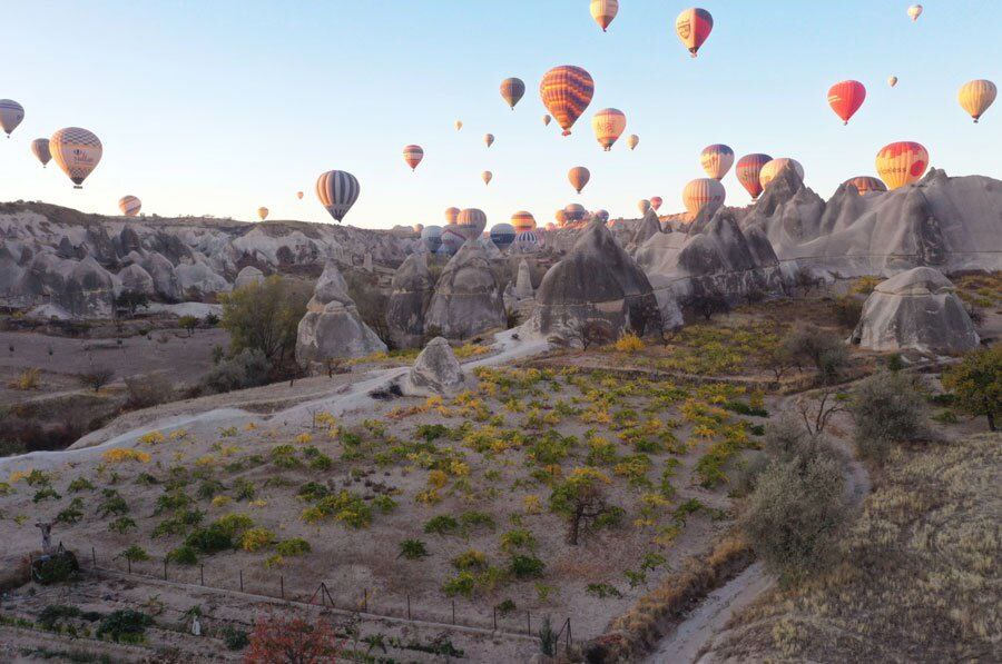 دیدنی های امروز؛ از راهپیمایی روز مردگان تا حراج توالت طلایی