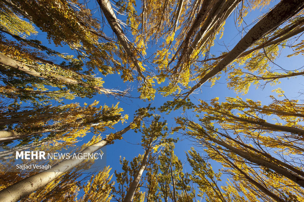 خزان هزار رنگ همدان