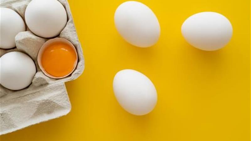 افزایش سه برابری صادرات تخم مرغ خوراکی در استان مرکزی