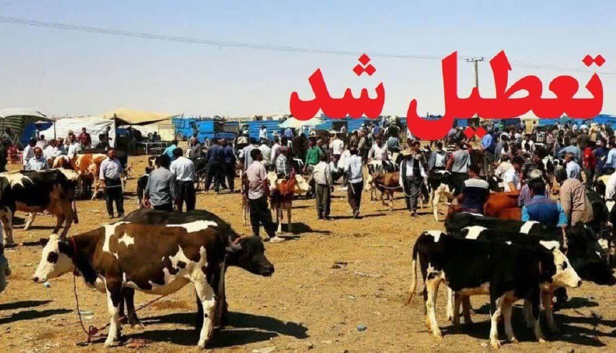 تعطیلی موقت میادین دام در آذربایجان غربی