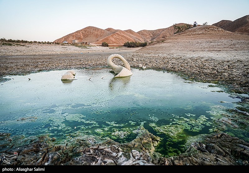 مرگ هزاران ماهی در بند عبدلآباد بجنورد
