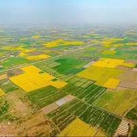 زمین‌خواری سازمان‌یافته در چالوس؛ ۳۶۰۰ میلیارد ‌زمین ملی به تاراج رفت!