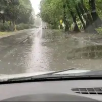 بارش باران و وزش باد در مازندران