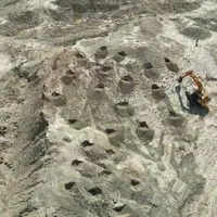 احیای ۸.۴ هکتار از عرصه‌های طبیعی تخریب شده در کهگیلویه و بویراحمد