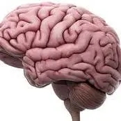 کنترل خشم می‌تواند با بازسازی مغز باعث آرامش بیشتر شود