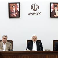 عارف: تامین امنیت غذایی از مهمترین راهبردهای دولت است