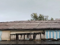 بارش زیبای باران پاییزی ، روستای طالم