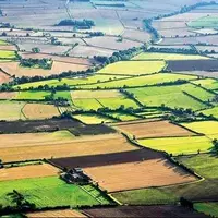 سند تکبرگ برای ۴۱۳ هزار هکتار از اراضی کشاورزی لرستان صادر شد