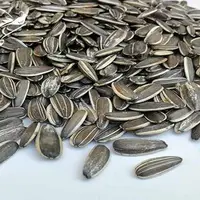 کشف نیم تُن تخمه آفتابگردان قاچاق در محورهای مواصلاتی کرمانشاه