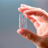 نبض فناروی جهان در دستان این ۵ غول است