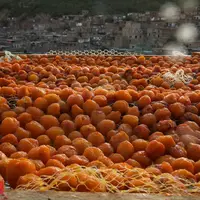 شهر خور؛ شهر بام های طلایی