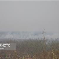 لزوم در اولویت قرار گرفتن وضعیت آتش‌سوزی تالاب هورالعظیم در دولت