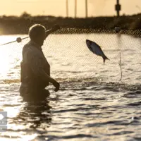 پرورش ماهی، مسیری برای آبادانی و اشتغال