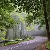 جایی که پاییز با رنگ‌هاش جادو می‌کنه