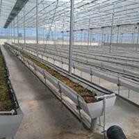 پرداخت ۲۹۴ میلیارد تومان تسهیلات تبصره ۱۸ به بهره برداران بخش کشاورزی