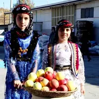 جشنواره سیب بروجرد برگزار شد