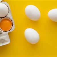 افزایش سه برابری صادرات تخم مرغ خوراکی در استان مرکزی