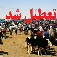 تعطیلی موقت میادین دام در آذربایجان غربی 