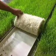 کشت هیدروپونیک برای تأمین علوفه دامی و اجرای آن در کشور