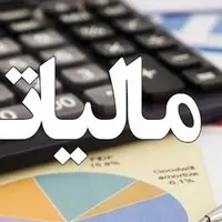 کشف پرونده های بزرگ فرار مالیاتی در 2 استان