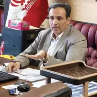 تولید مرغ در کرمانشاه فراتر از نیاز بازار داخلی است