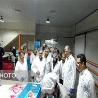 معاون استاندار زنجان: نظارت در کشتارگاه‌های طیور نقش کلیدی در حفظ سلامت جامعه دارد