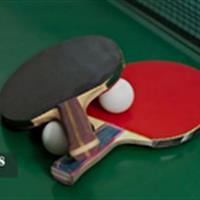 قهرمانی تیم کردستان در مسابقات پاراتنیس منطقه ۲ کشور