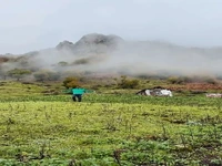 گیلان قطعا قطعه ای از بهشته !