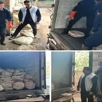 گوشت‌های فاسد در شفت معدوم شدند