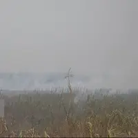 نماینده اهواز: تصمیم درباره هورالعظیم، شفاف به مردم گفته شود