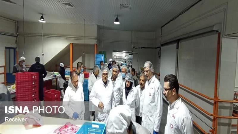 معاون استاندار زنجان: نظارت در کشتارگاه‌های طیور نقش کلیدی در حفظ سلامت جامعه دارد