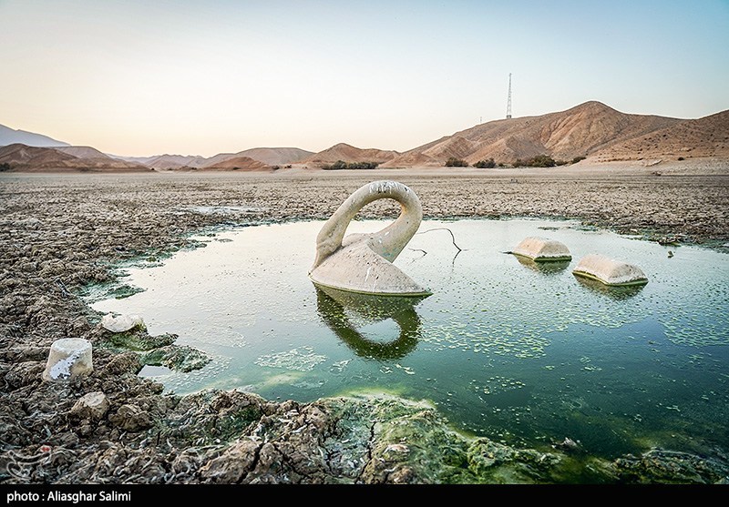 مرگ هزاران ماهی در بند عبدلآباد بجنورد