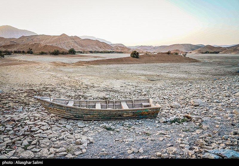 مرگ هزاران ماهی در بند عبدلآباد بجنورد