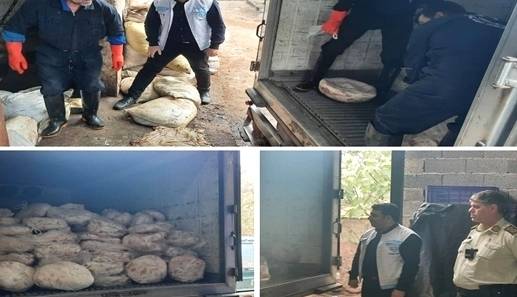 گوشت‌های فاسد در شفت معدوم شدند