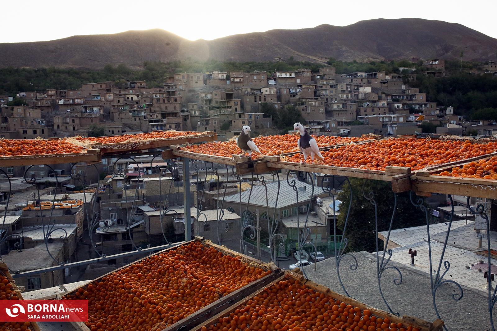 شهر خور؛ شهر بام های طلایی